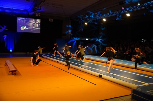 Flik Flak Vosselaar - Turnvereniging